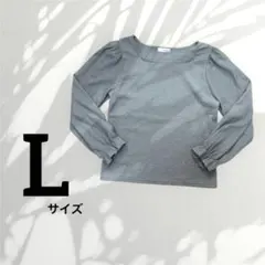 Lサイズ　長袖のトップス　カットソー ブルー　Avail