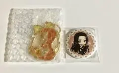 ぴちぴちピッチ 沙羅 楽天コレ 缶バッジ チャーム