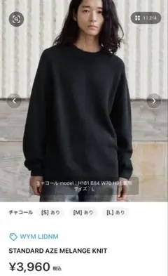 WYMLIDNM STANDARD AZE MELANGE KNITMチャコール