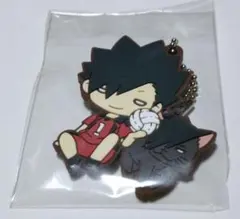 ハイキュー 黒尾&研磨　にとたん マスコット ハイキュー 黒尾&研磨 にとたん マスコット ハイキュー にとたん