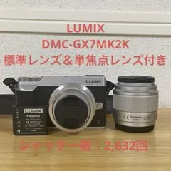 2025年最新】lumix gx7mk2 レンズの人気アイテム - メルカリ