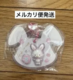 ☆サンリオ☆サンリオキャラクターズパッケージチャーム ウィッシュミーメル