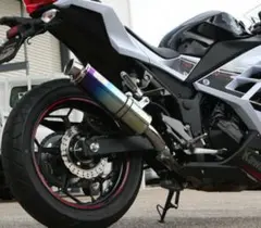 Realize カワサキ ニンジャ EX250L Aria チタンTypeC - メルカリ
