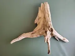 Item thumbnail for item 3b9dafd2-9627-4558-96a9-07ba4ac22631