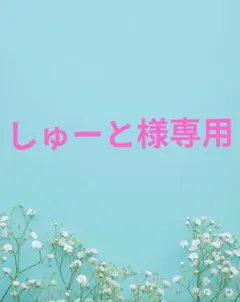 しゅーと様専用のサムネイル