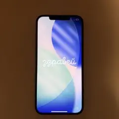 Apple iPhone 12 Pro Max 本体 白ロム　初期化済み