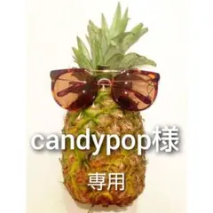 candypop様 リクエスト 2点 まとめ商品