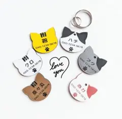 Item thumbnail for item ec813a27-db40-4913-a748-1b05aabb7747