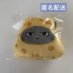 BOYNEXTDOOR トムジェリキーリングHAN TATPUNG テサン