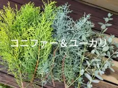 グリーン3種類セット☆ハンドメイド☆リース☆スワッグ☆クリスマス