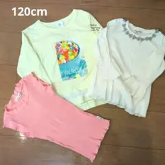 any FAM 120cm Tシャツ　長袖　ノースリーブ 3点セット