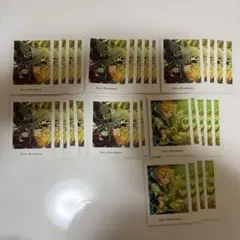 あんスタ ぱしゃっつ vol.6 春川宙 action private