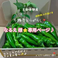 なるえ様⭐️専用ページ♪