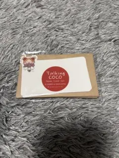 Talking COCO Name Card Set