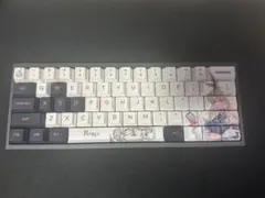 Venom60 he カスタム品