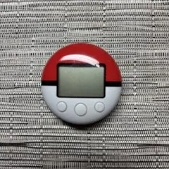 ポケウォーカー　ポケモン