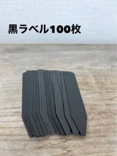 신제품 원예용 라벨 100매 식물 태그 식물 이름표