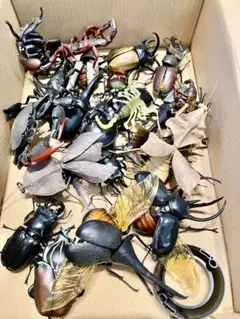 バンダイ生き物大図鑑　開封品＆未開封品セット