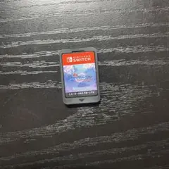 東方スカイアリーナNintendo Switch
