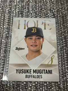 プロ野球チップス バファローズ 麦谷祐介