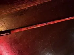 2026年最新】ザウルス フィリプソンの人気アイテム - メルカリ