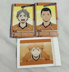 ハイキュー ぱしゃこれ スナップマイド 日向翔陽 菅原孝支 成田一仁