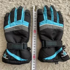 Item thumbnail for item e3d6cc34-8b40-4c47-bd1b-436dec3cbd91