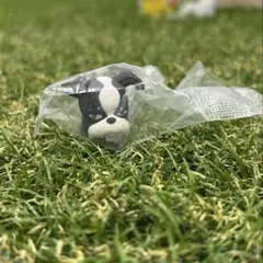 ジョジョの奇妙な冒険 まちぼうけ スターダストクルセイダース　イギー