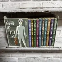 ゆうきまさみ　白暮のクロニクル　1-11巻　全巻セット