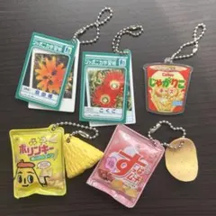 お菓子パッケージ＆ジャポニカ学習帳 ミニチュアキーホルダー まとめ売り