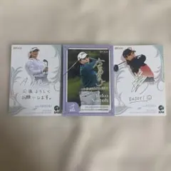 Item thumbnail for item b4f4d514-d8cf-4115-a856-ca7b652477e2