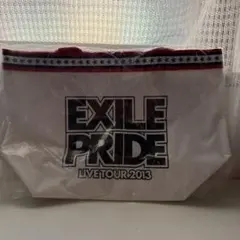 EXILE LIVE TOUR 2013 エコバック 小