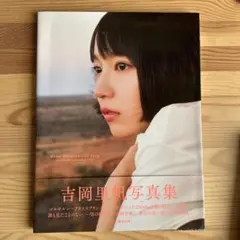 Item thumbnail for item 1b4a7c19-2aac-4ac8-9fd6-35d2622010fb