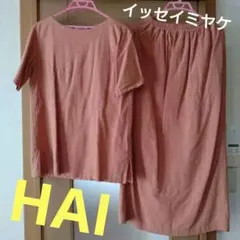 最終お値下げ　激レアHAIセットアップ