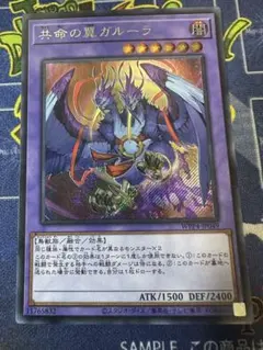 遊戯王 共命の翼ガルーラ アジア シク シークレット - メルカリ