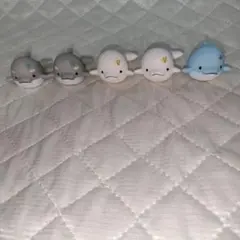 みいるか ゆるいるか ソフビフィギュア 5個セット