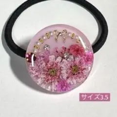 Item thumbnail for item 013f3e37-9872-4007-ae4f-5e5c26a5c340