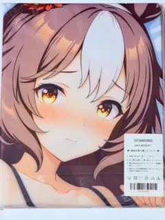 星川サラ 抱き枕カバー 正規品 EXver. 御宅eden にじさんじ - メルカリ