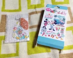 ディズニーリゾート　サニーサニーサマー　キーチェーン　ドナルド