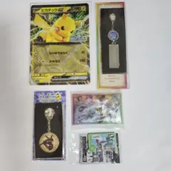 JR東日本ポケモンメガ スタンプラリー 2025 景品 フルコンプリートセット