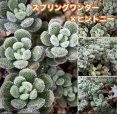 happy様 リクエスト 3点 まとめ商品