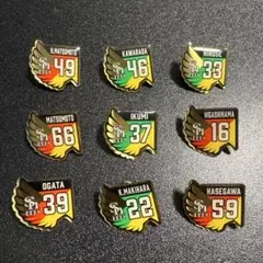 福岡ソフトバンクホークス　2024年　ピンバッジセット