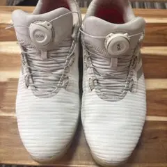 adidas ゴルフシューズ BOAフィットシステム ホワイト