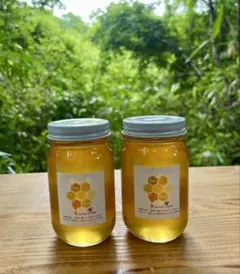 SEdragonさん専用国産百花蜂蜜1200g×3とみかん蜂蜜1200g SEdragonさん専用国産百花蜂蜜1200g×3とみかん蜂蜜1200g - メルカリ