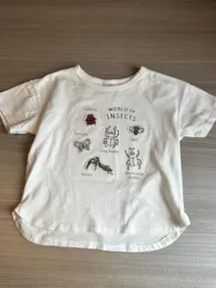 プティマイン⭐︎昆虫イラスト Tシャツ 120cm