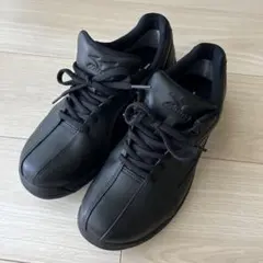 【美品】MIZUNO　ミズノ　ウォーキングシューズ　天然皮革　GORE TEX