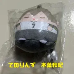 ハイキュー!!くじメイトぬいくじ E賞 てのりんずコレクション 木葉 秋紀