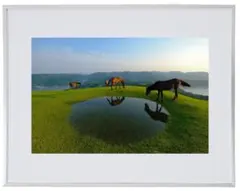 Item thumbnail for item 0feec939-5537-4ac2-a105-e493798a7e92