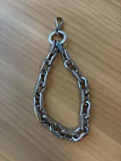 CASETiFY Metal Chain Wrist Strap