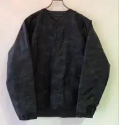 Item thumbnail for item 34702f19-309b-449f-9604-4e60032fe380